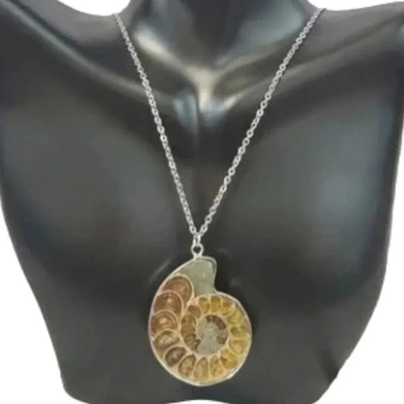 Ammonite Fossil Shell with Silver Plating - Picture 4 of 15